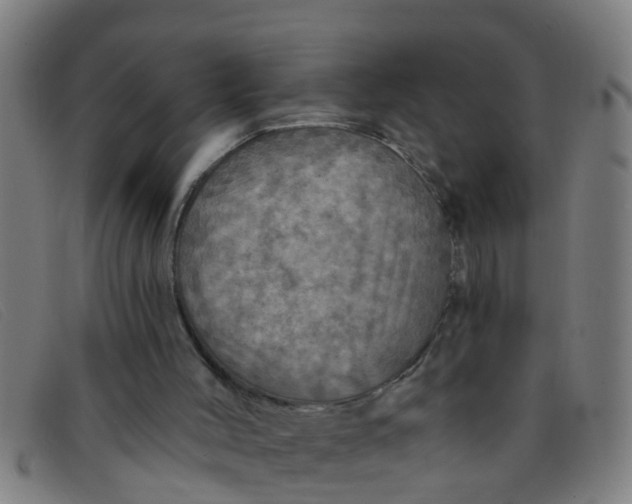 X0000091350004200708311525