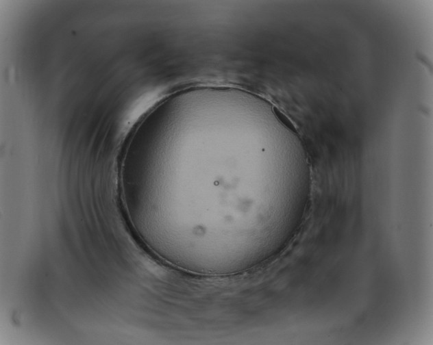 X0000091350005200708311525