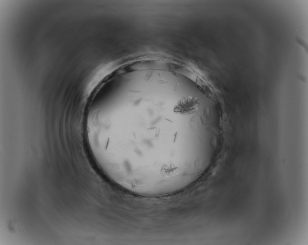 X0000091350007200708311525
