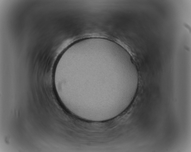 X0000091350008200708311525