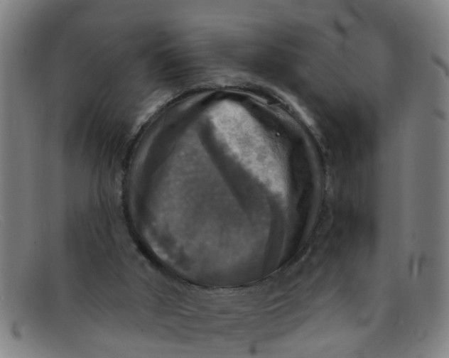 X0000091350010200708311525