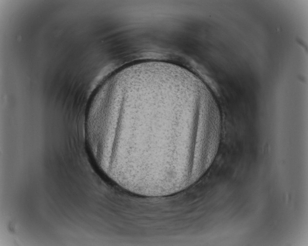 X0000091350011200708311525