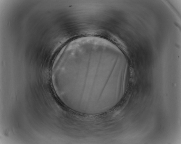 X0000091350012200708311525