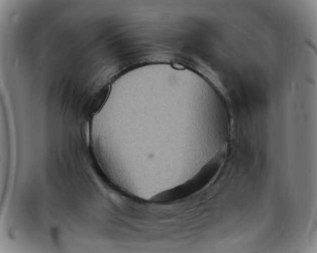 X0000091350013200708311525