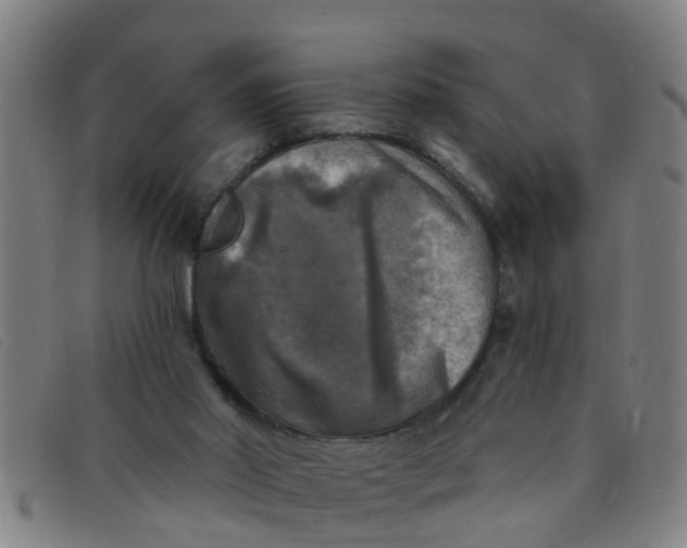 X0000091350014200708311525