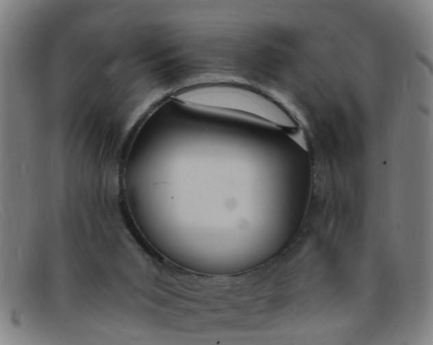 X0000091350015200708311525