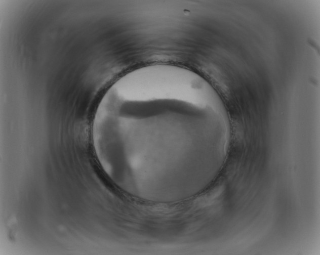 X0000091350016200708311525