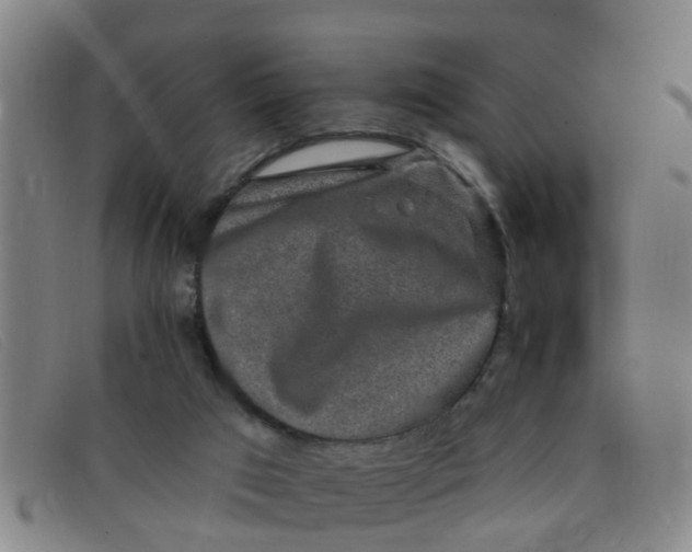 X0000091350017200708311525