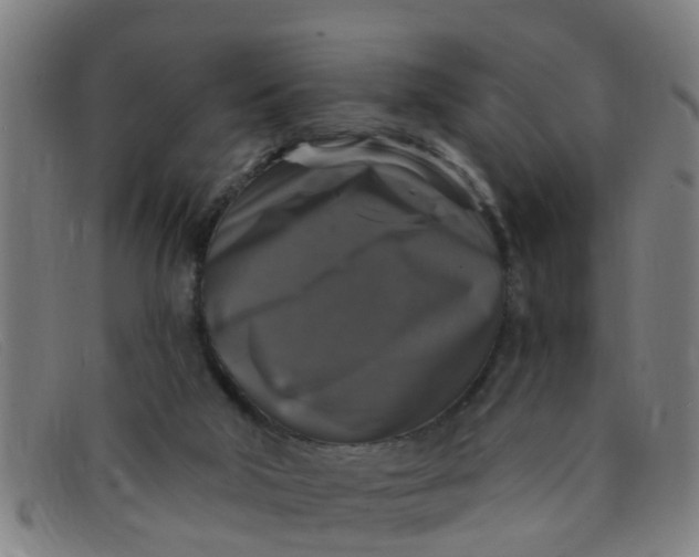 X0000091350018200708311525