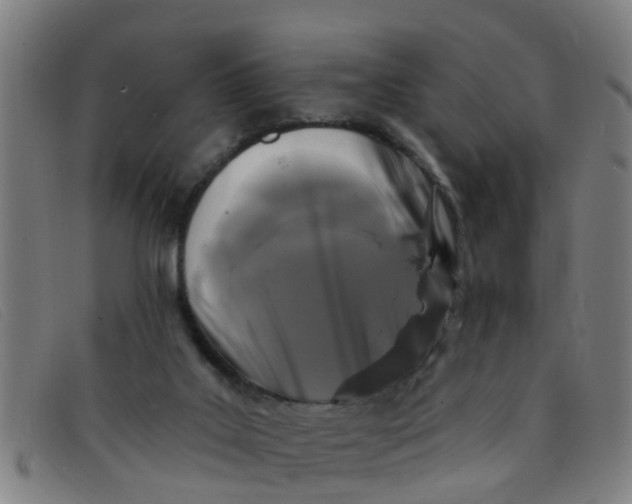 X0000091350019200708311525