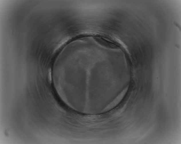 X0000091350020200708311525