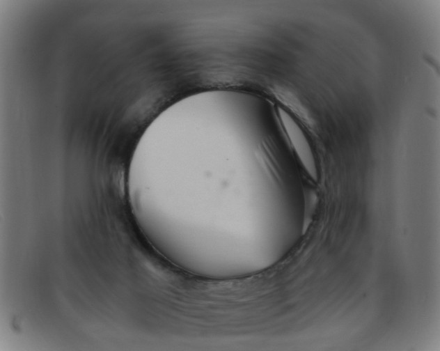 X0000091350021200708311525