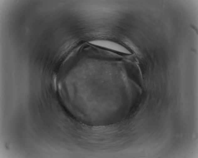 X0000091350022200708311525
