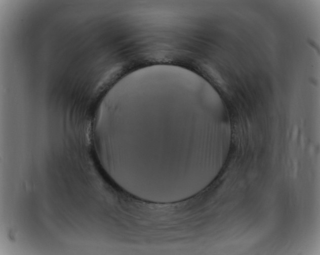 X0000091350023200708311525