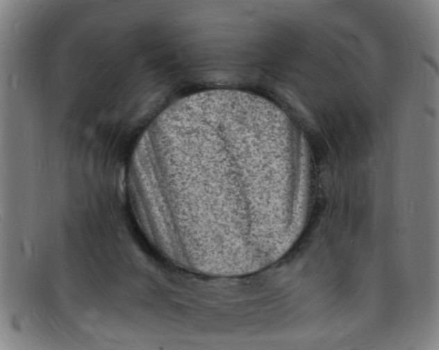 X0000091350024200708311525