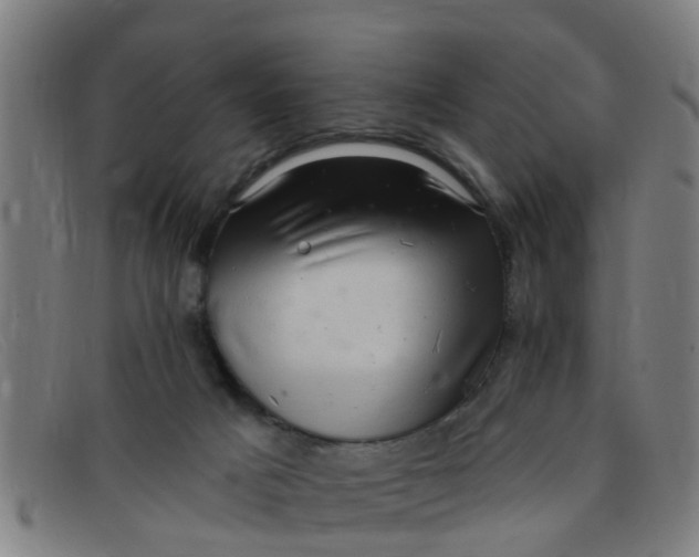 X0000091350025200708311525