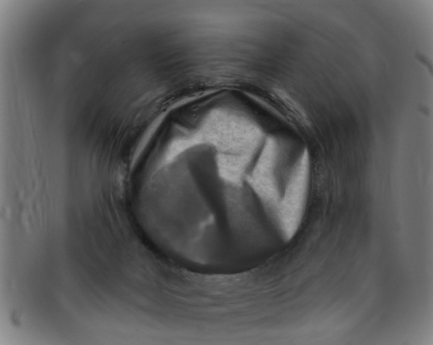 X0000091350026200708311525