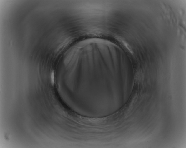 X0000091350027200708311525