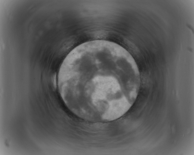 X0000091350028200708311525