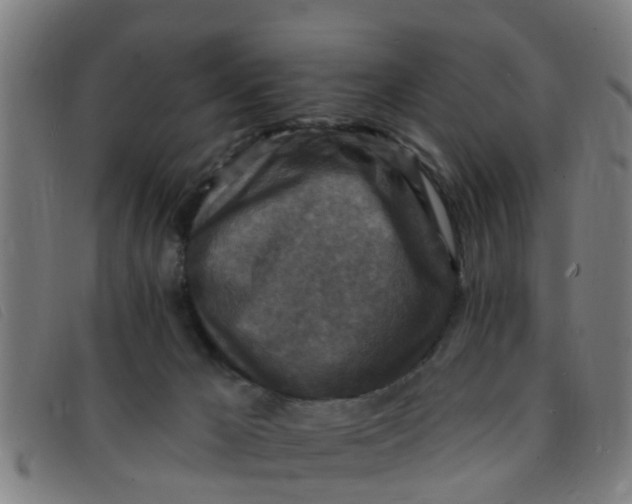 X0000091350029200708311525