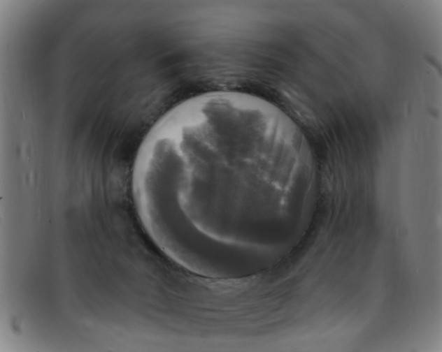 X0000091350030200708311525