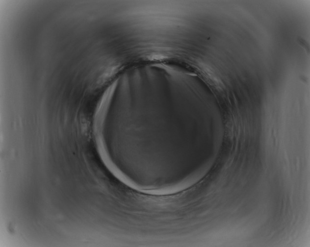 X0000091350031200708311525