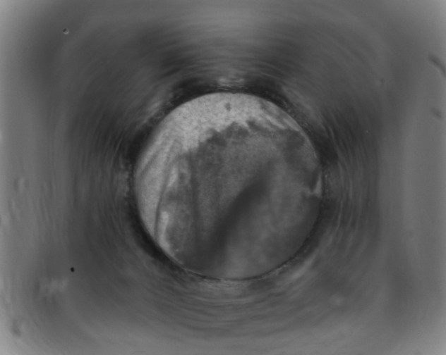 X0000091350032200708311525