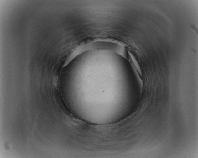 X0000091350033200708311525