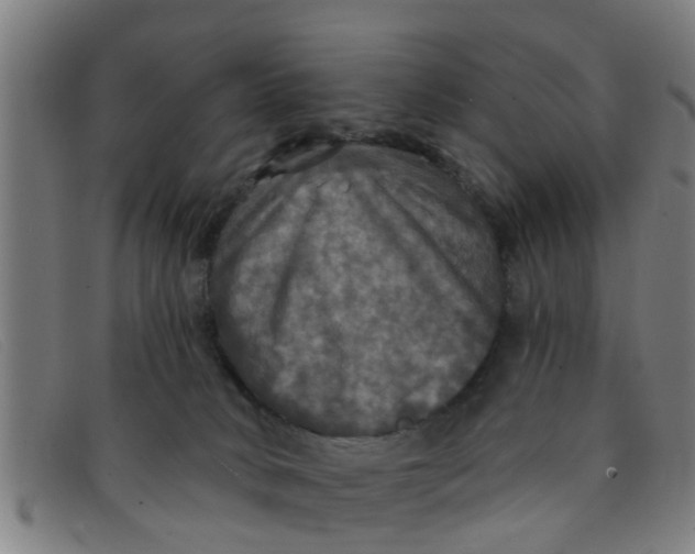 X0000091350034200708311525