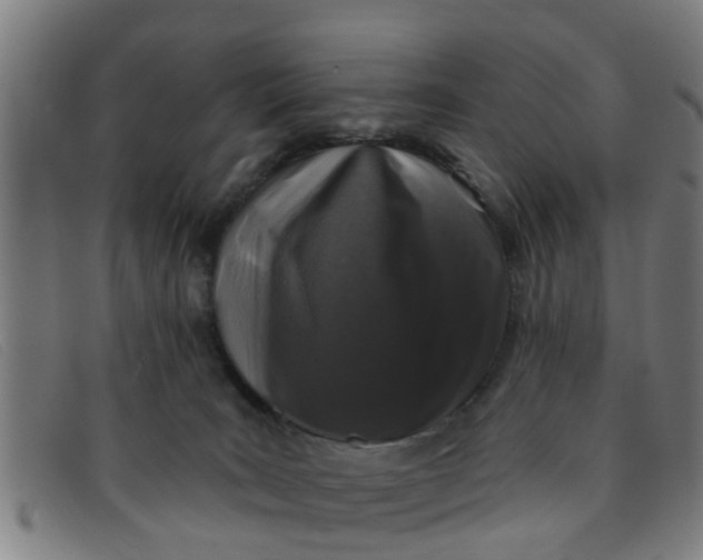 X0000091350035200708311525