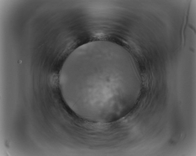 X0000091350036200708311525