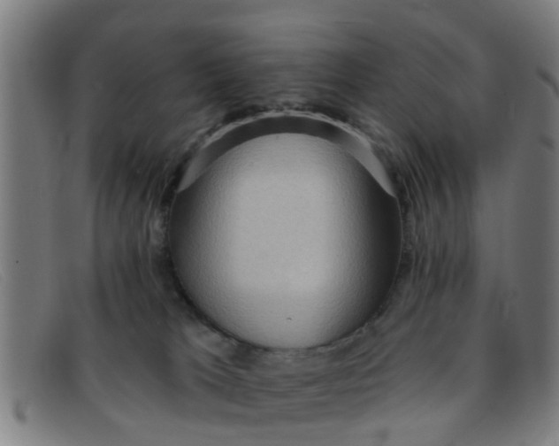X0000091350037200708311525