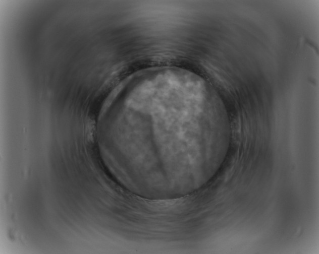 X0000091350038200708311525