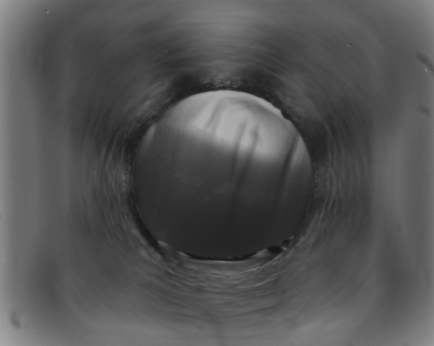 X0000091350039200708311525