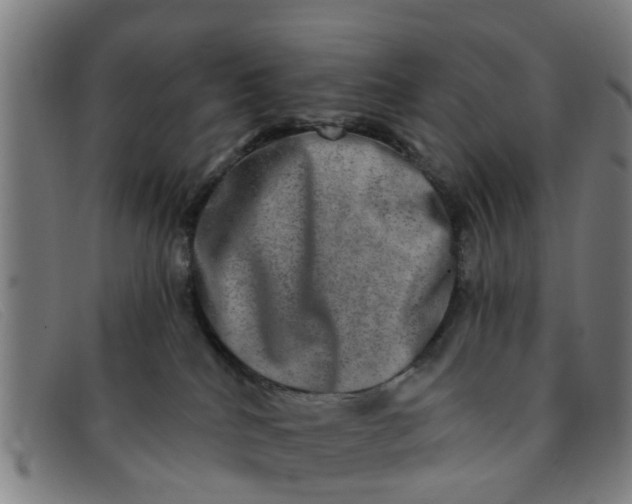 X0000091350040200708311525