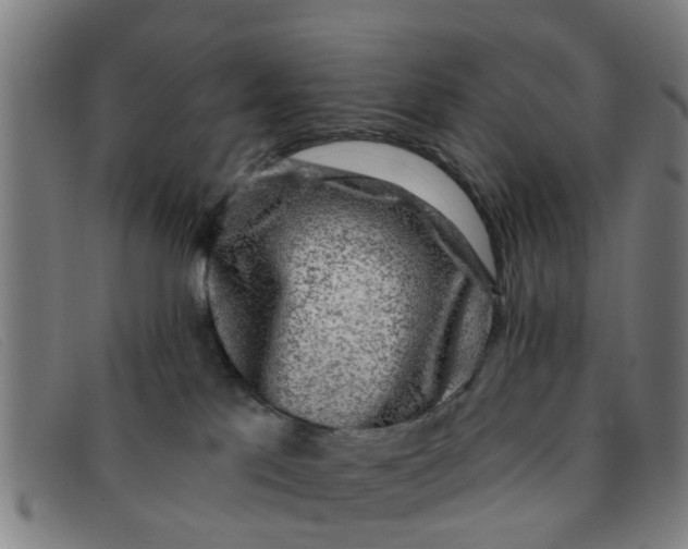 X0000091350041200708311525
