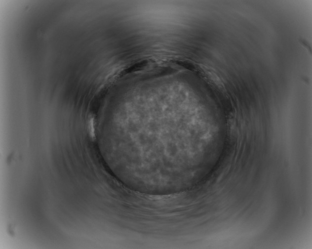 X0000091350042200708311525
