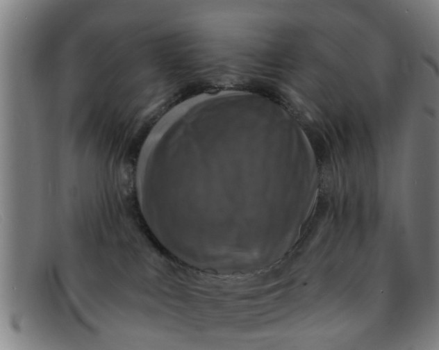 X0000091350043200708311525