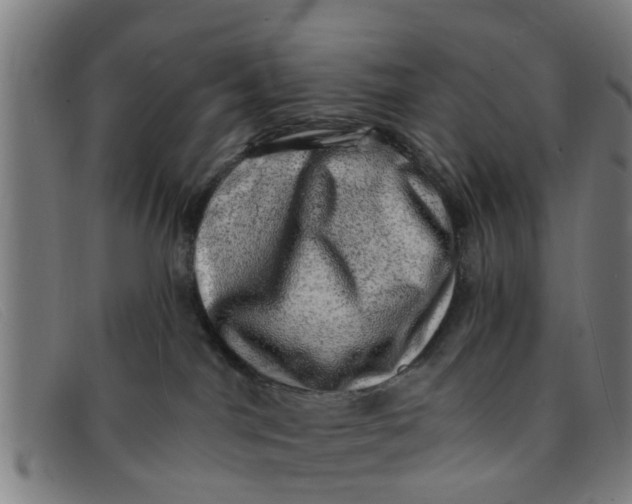 X0000091350044200708311525