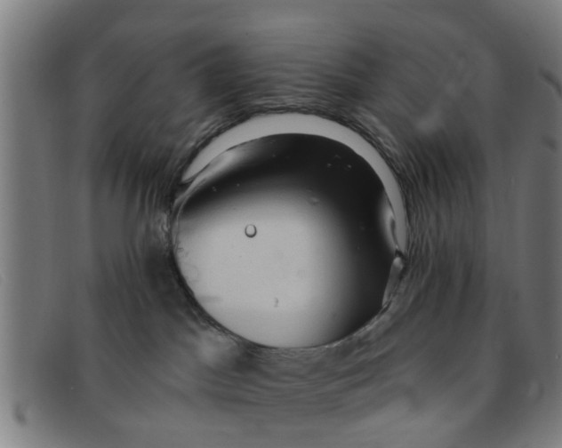 X0000091350045200708311525