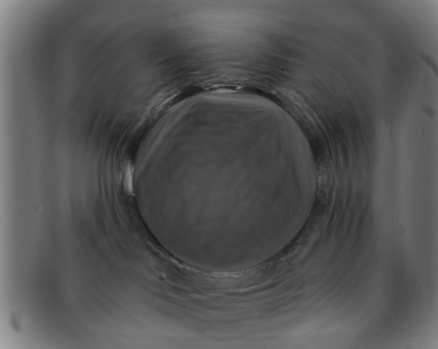 X0000091350046200708311525