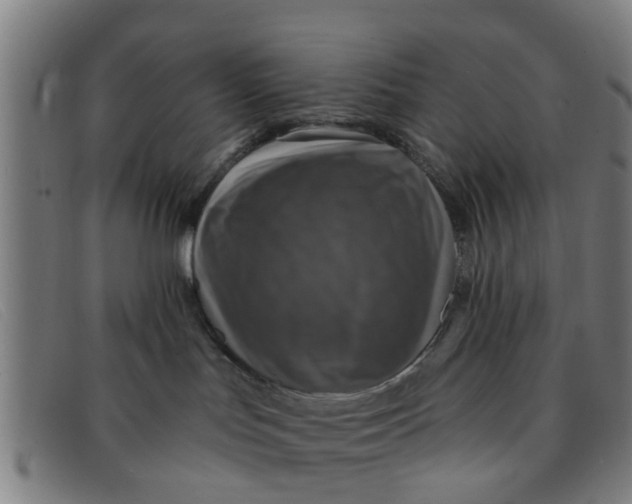 X0000091350047200708311525