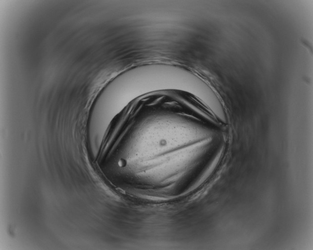 X0000091350049200708311524