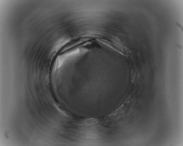 X0000091350050200708311524