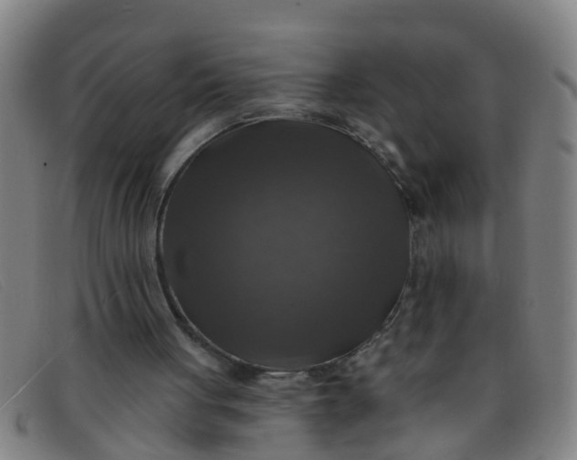 X0000091350051200708311524