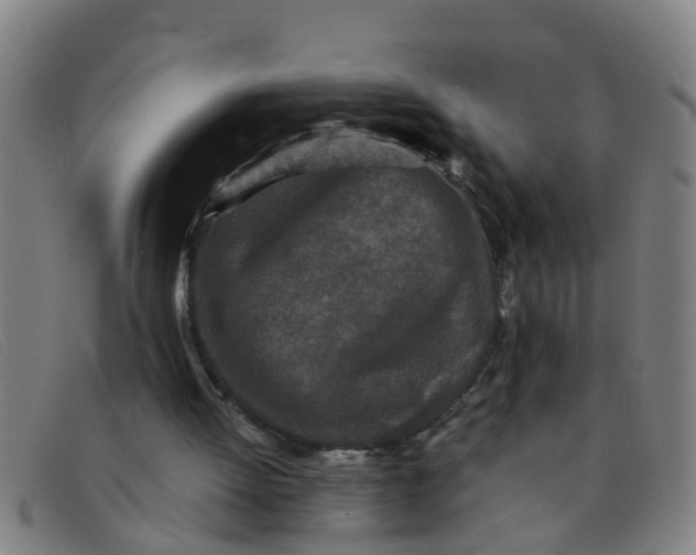 X0000091350052200708311524