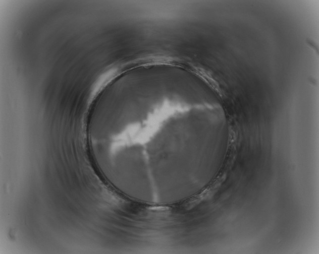 X0000091350053200708311524