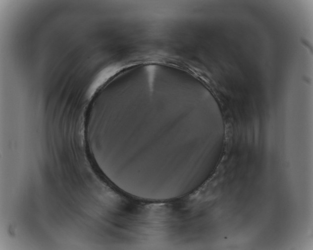 X0000091350054200708311524