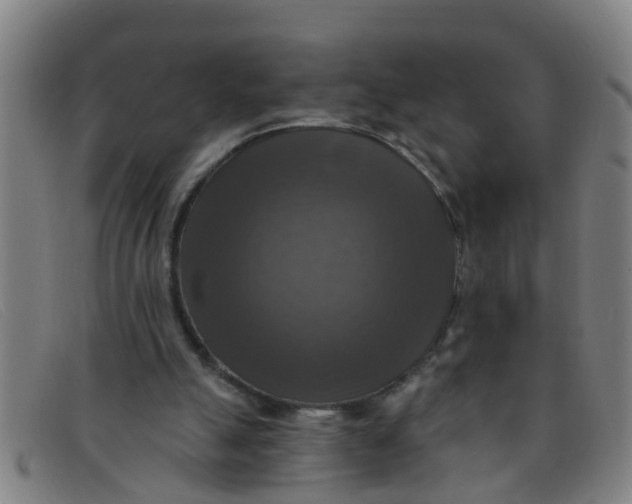 X0000091350055200708311524