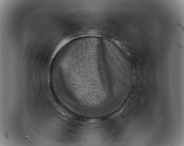 X0000091350056200708311524